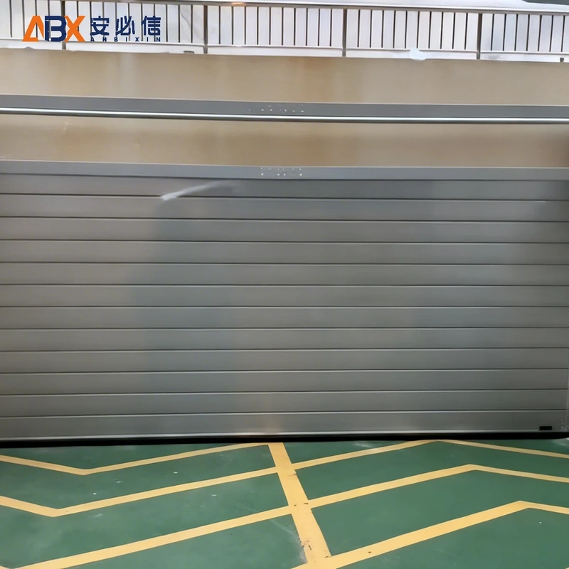 丽水雷达高速门